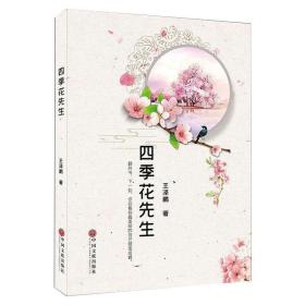 四季花先生 中国现当代文学 王泽鹏 新华正版