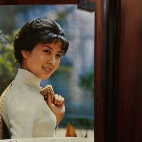 1981年年画电影演员 陈冲