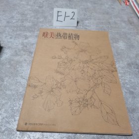 唯美白描精选：热带植物