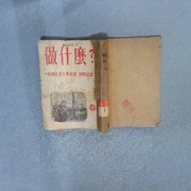 做什么? 中