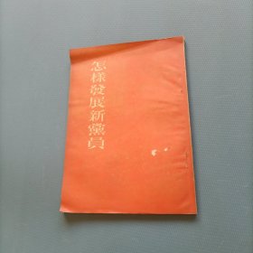 怎样发展新党员 （一版一印）（货a5）