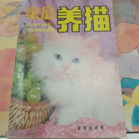 家庭养猫