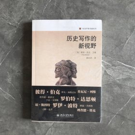 历史写作的新视野 历史学的实践丛书