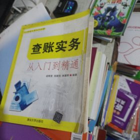 财会人员入门必读：查账实务从入门到精通