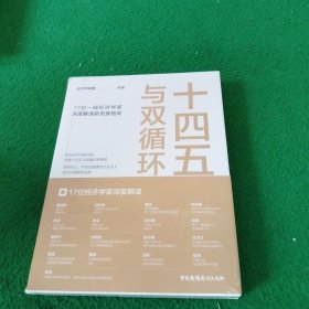 十四五与双循环:17位一线经济学家深度解读新发展格局（国内大循环国内国际双循环）