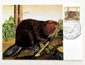 奥地利《河狸》邮票极限片1枚，销1982年9月10日奥地利首日纪念戳。