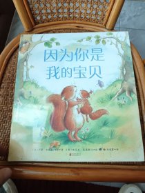 因为你是我的宝贝（未开封）
