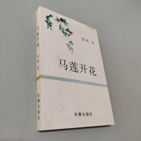 马莲开花