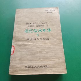 追忆似水年华（4）索多姆和戈摩尔