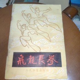 飞龙长拳