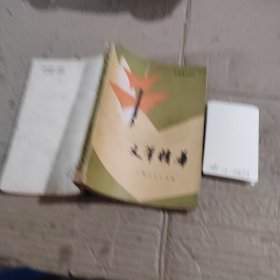 文笔精华