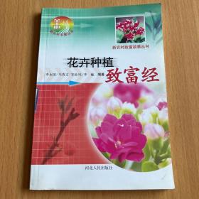 花卉种植致富经