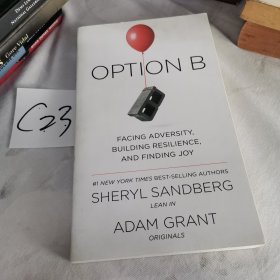 Option B: Facing Adversity, Building Resilience, and Finding Joy