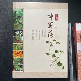 实用中草药