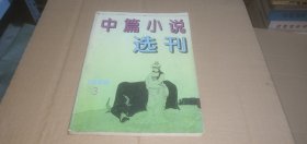 中篇小说选刊1996年第3期 （总第90期）