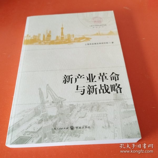 上海市发展改革研究院研究丛书：新产业革命与新战略