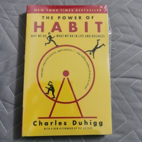 The Power of Habit: Why We Do What We Do in Life and Business 习惯的力量 英文原版