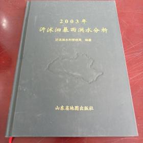 《2003年沂沭泗暴雨洪水分析》16开精装 j