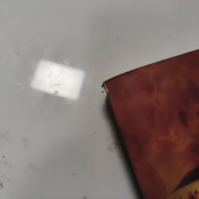 化学武器：防御与销毁