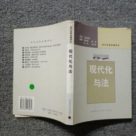 现代化与法