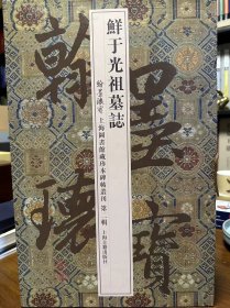 翰墨瑰宝·上海图书馆藏珍本碑帖丛刊（第2辑）：鲜于光祖墓志