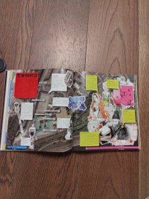 DK放我出去 儿童探秘大百科(精装版)(全彩)