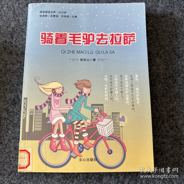 原创阅读文库：骑着毛驴去拉萨