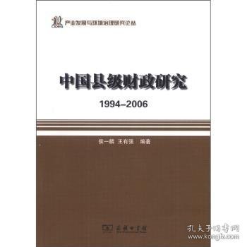 产业发展与环境治理研究论丛·中国县级财政研究：1994-2006