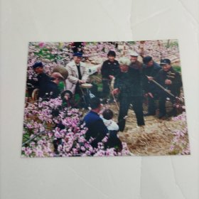 杨正南艺术摄影：在那桃花盛开的地方
