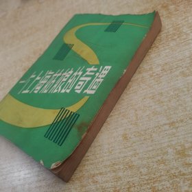 一个上海姑娘的奇遇