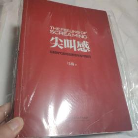 尖叫感：互联网文案创意思维与写作技巧