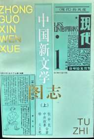 中国新文学图志（上下）