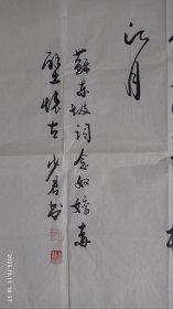 陕西著名书法家余少君老师书法《念奴娇赤壁怀古》小六尺。2025