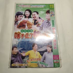 DVD 民间小调 瞎子走了桃花运 单碟