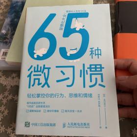 65种微习惯轻松掌控你的行为、思维和情绪