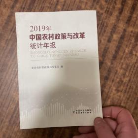 中国农村政策与改革统计年报（2019年）