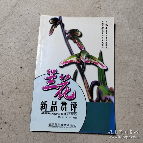 兰花新品赏评