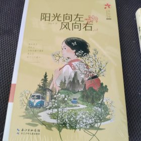 阳光向左风向右 李东华女孩成长系列（典藏版）励志成长小说