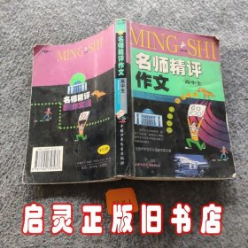 名师精评作文小学高年级