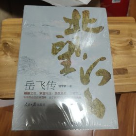 北望河山 ：岳飞传