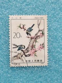 T79（5-4） 大山雀 信销邮票