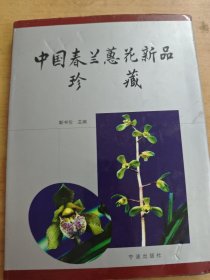 中国春兰蕙花新品珍藏
