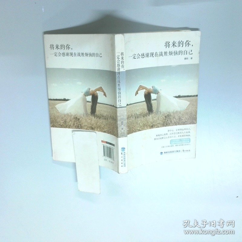 将来的你 一定会感谢现在战胜烦恼的自己