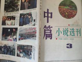 《中篇小说选刊》1993 3