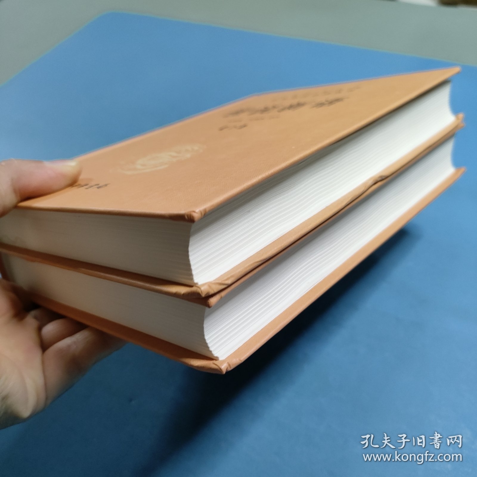 世说新语（上下）：中华经典名著全本全注全译丛书