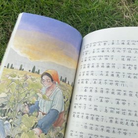 2年级上册——小学语文同步阅读(雾在哪里+葡萄沟+小蝌蚪找妈妈+曹冲称象+少年英雄王二小)(全5册)