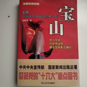 宝山:宝钢中国改革开放的经典之作:长篇纪实文学