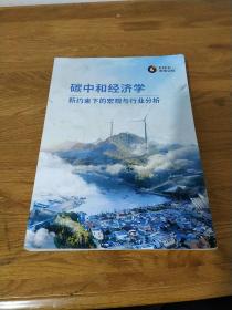 碳中和经济学 新约束下的宏观与行业分析