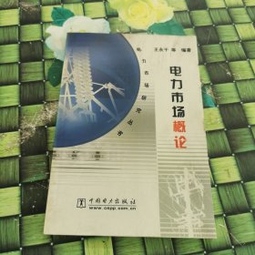 電力市場(chǎng)概論（電力市場(chǎng)研究叢書(shū)） 館藏 正版 無(wú)筆跡