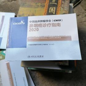 中国临床肿瘤学会（CSCO）鼻咽癌诊疗指南2020